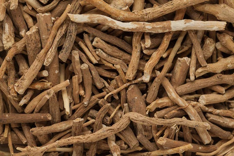 Ashwagandha: Ancient Remedy for Stress, Cognitive Health & Vitality