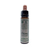 Ainsworth Chicory Bach Flower Remedy 10ml