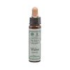 A bottle of Ainsworth Walnut Bach Flower Remedy with a dropper, against a white background.