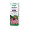 A.Vogel Echinaforce Hot Drink Cold & Flu Echinacea concentrate for oral solution with Elderberry for the relief of cold and flu symptoms, 100ml