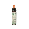 A bottle of Ainsworth Red Chestnut Bach Flower Remedy with a dropper.