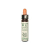 A bottle of Ainsworth Rock Water Bach Flower Remedy with a dropper, against a white background.